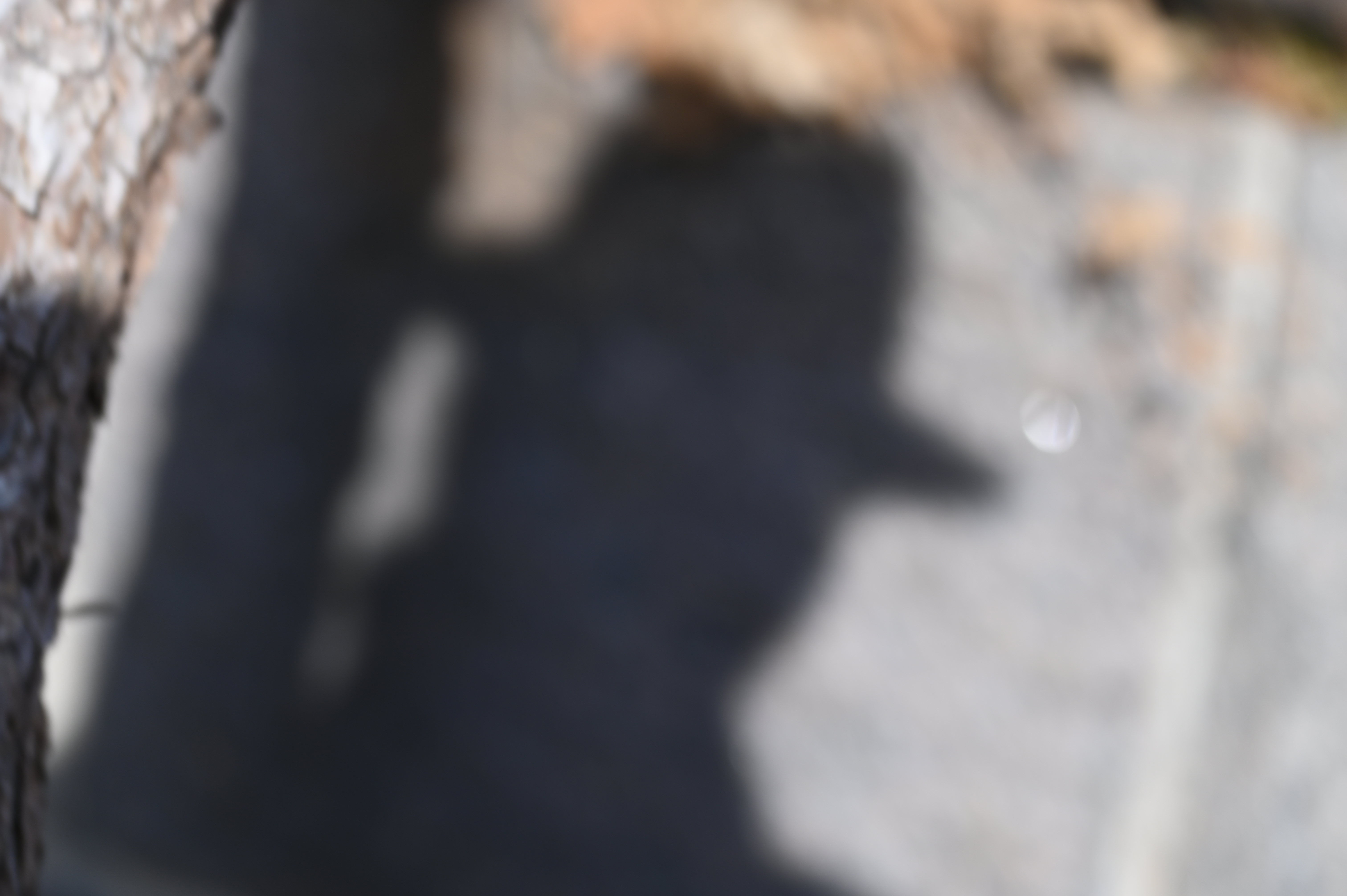 Jag har tre H, Hund, Hatt och Hej, vilket betyder att jag har min bästa vän Tintin (hund), bär alltid hatt (äger för många) och Hälsar på dem jag möter (om det inte är stor trängsel)